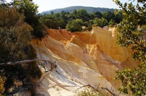 10401395_539976059457796_7324094718815161649_n